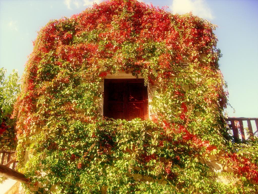 Manoli'S House Konuk evi Douliana Oda fotoğraf